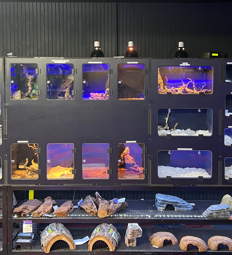 Fish tanks at Dee's Pets