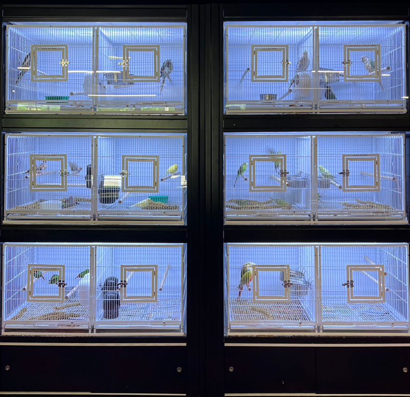 Pet supplies at Dee's Pets